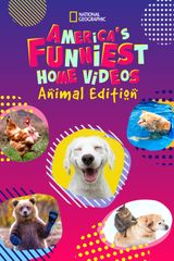 Key visual of America's Funniest Home Videos: Animal Edition