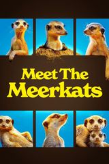 Key visual of Meet The Meerkats