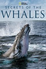 Key visual of Secrets of the Whales