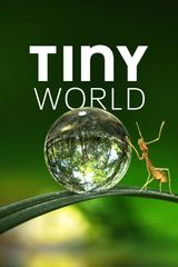 Key visual of Tiny World