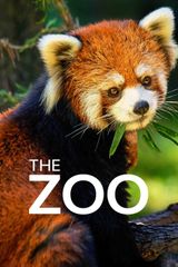 Key visual of The Zoo