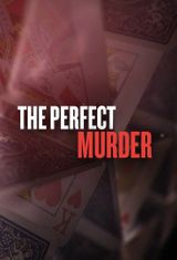 Key visual of The Perfect Murder