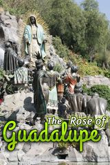 Key visual of La rosa de Guadalupe