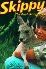 Key visual of Skippy the Bush Kangaroo
