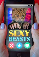 Key visual of Sexy Beasts