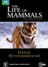 Key visual of The Life of Mammals