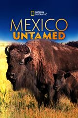 Key visual of Mexico Untamed