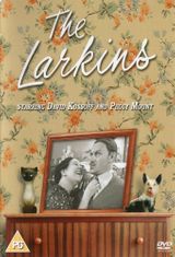 Key visual of The Larkins