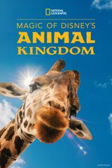 Key visual of Magic of Disney's Animal Kingdom