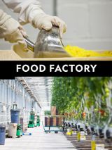 Key visual of Food Factory