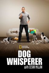 Key visual of Dog Whisperer