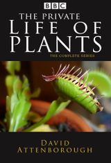 Key visual of The Private Life of Plants