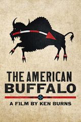 Key visual of The American Buffalo