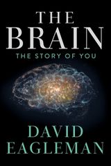 Key visual of The Brain with David Eagleman