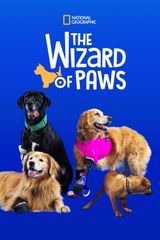 Key visual of The Wizard of Paws