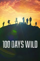 Key visual of 100 Days Wild