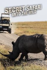 Key visual of Secret Safari: Into the Wild