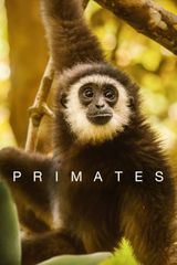 Key visual of Primates