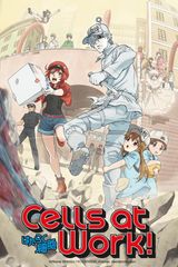 Key visual of Cells at Work!