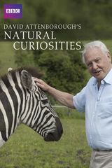 Key visual of David Attenborough's Natural Curiosities
