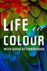 Key visual of Attenborough's Life in Colour