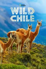 Key visual of Wild Chile