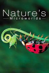 Key visual of Nature's Microworlds