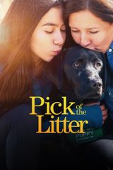 Key visual of Pick of the Litter