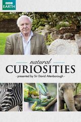 Key visual of David Attenborough's Natural Curiosities