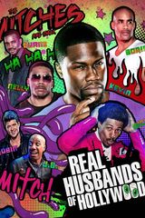 Key visual of Real Husbands of Hollywood