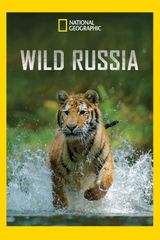 Key visual of Wild Russia