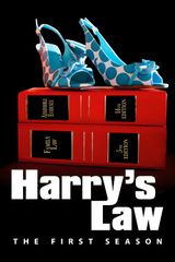 Key visual of Harry's Law 1