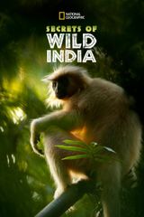 Key visual of Secrets of Wild India 1