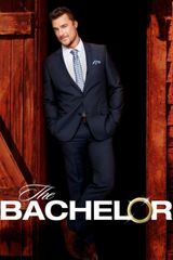 Key visual of The Bachelor 19