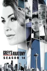 Key visual of Grey's Anatomy 14