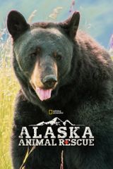 Key visual of Alaska Animal Rescue 2