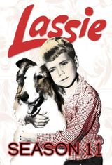 Key visual of Lassie 11