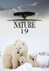 Key visual of Nature 19