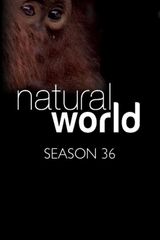 Key visual of Natural World 36