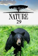 Key visual of Nature 29