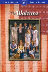 Key visual of The Waltons 8