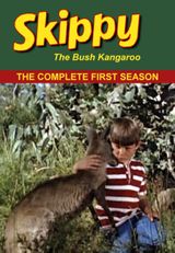 Key visual of Skippy the Bush Kangaroo 1