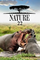 Key visual of Nature 22