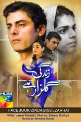 Key visual of Zindagi Gulzar Hai 1