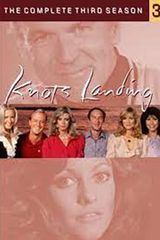 Key visual of Knots Landing 3