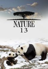 Key visual of Nature 13