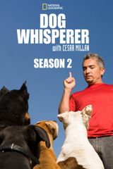 Key visual of Dog Whisperer 2