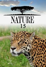 Key visual of Nature 15