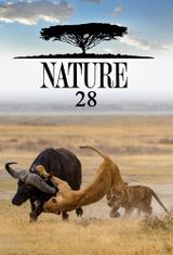 Key visual of Nature 28