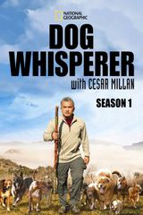 Key visual of Dog Whisperer 1